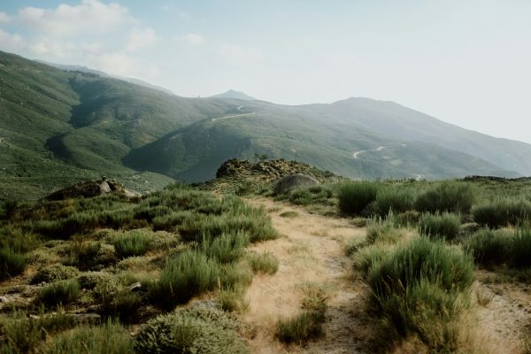 andre-filipe-AF0BiNwdvNY-unsplash